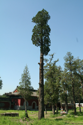 圆明园遗址公园